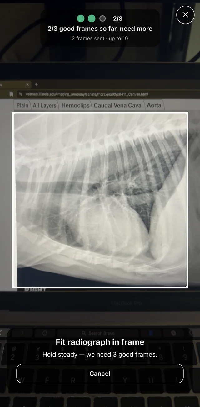 Workup live capture pointed at a right lateral radiograph on a monitor, showing a progress indicator reading 2 of 3 good frames so far, need more, with the prompt to fit the radiograph in frame and hold steady